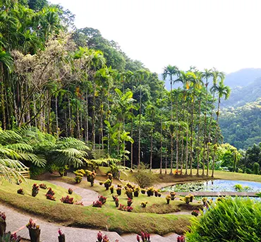 Martinique